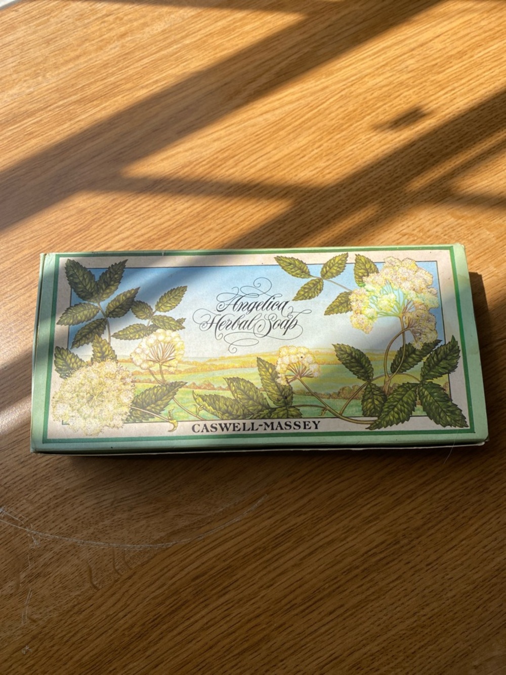 Vintage Caswell-Massey 1983 NOS Angelica Herbal Soap 3 Bath Bar Box 3.25 oz Each